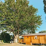 Le Pressoir De