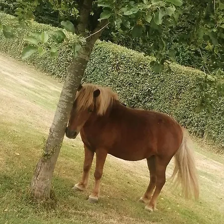 Le Pressoir De Gisay