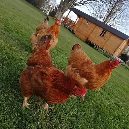 Guest house Le Pressoir De