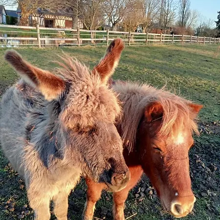 Le Pressoir De Guest house Gisay