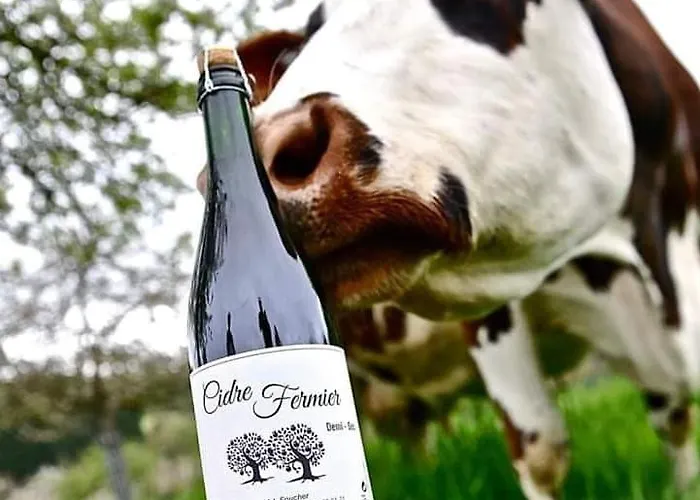 Pensionat Le Pressoir De 3*