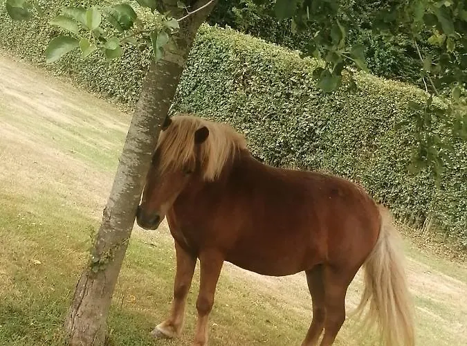 Le Pressoir De Gisay