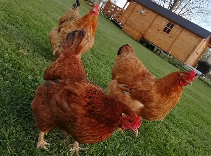 Pensionat Le Pressoir De