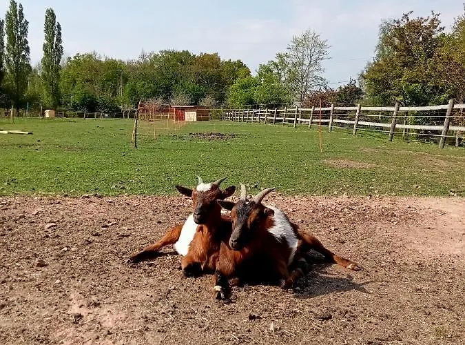 Pensionat Le Pressoir De