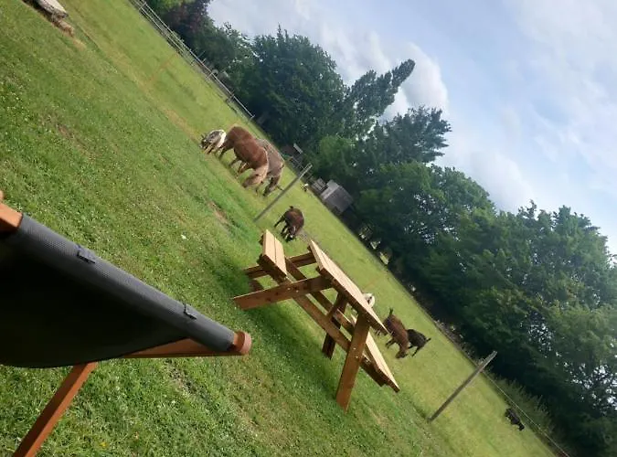 Pensionat Le Pressoir De Gisay