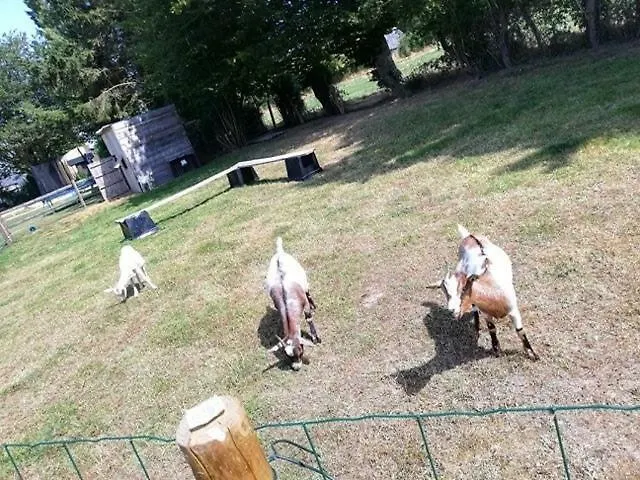 Pensionat Le Pressoir De